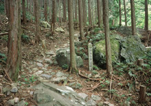 世界遺産　熊野古道・ツヅラト峠